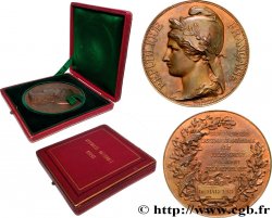III REPUBLIC Médaille, Élection de Jules Grévy