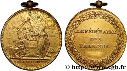 CONSTITUTION - ASSEMBLÉE NATIONALE Médaille, confédération des François