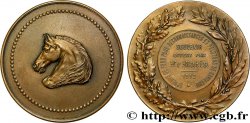 III REPUBLIC Médaille, Souvenir offert par le Matin