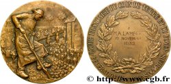 III REPUBLIC Médaille, Ligue française du coin de terre et du foyer