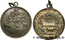 SOCIÉTÉS D AGRICULTURE, HORTICULTURE, PÊCHE ET CHASSE Médaille, Société d’agriculture de Dunkerque TTB