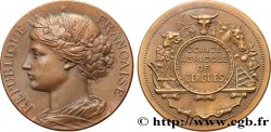 III REPUBLIC Médaille de récompense, Comice Agricole