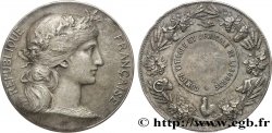 III REPUBLIC Médaille, Comice viticole et agricole
