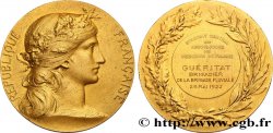 TROISIÈME RÉPUBLIQUE Médaille de récompense, Syndicat central des associations des pêcheurs de France