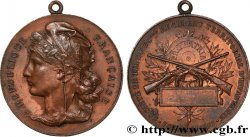 TIR ET ARQUEBUSE Médaille PRO PATRIA, récompense