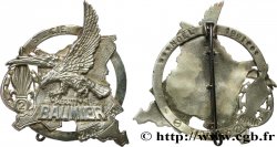 V REPUBLIC Insigne, Opération Baumier