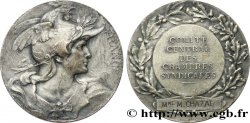 ASSOCIATIONS PROFESSIONNELLES - SYNDICATS. XIXe Médaille de récompense, FRANCE