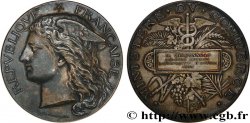 III REPUBLIC Médaille, Exposition d’Anvers