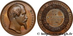 SECOND EMPIRE Médaille de récompense, Commissions de statistique cantonales