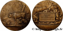 TROISIÈME RÉPUBLIQUE Médaille, Compagnie des salins du midi