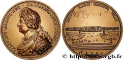 LOUIS XIV  THE SUN KING  Médaille, Château de Versailles, refrappe