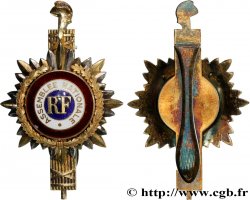 V REPUBLIC Insigne de fonction, Assemblée Nationale