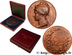 DRITTE FRANZOSISCHE REPUBLIK Médaille, Élection de Jules Grévy