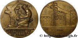 ENTREPRISES, INDUSTRIES ET COMMERCES DIVERS Médaille de mérite EDF / GDF