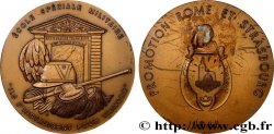 EDUCATION / SCHOOLS Médaille, Ecole spéciale militaire, Promotion Rome et Strasbourg