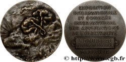 III REPUBLIC Médaille, Exposition internationale et congrès international des applications de l’électricité