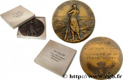 BELGIUM - KINGDOM OF BELGIUM - ALBERT I Médaille, Hommage au titulaire de la carte du feu