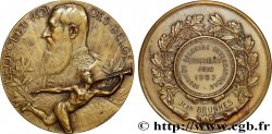 BELGIQUE - ROYAUME DE BELGIQUE - LÉOPOLD II Médaille, Institut colonial international