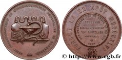 PHARMACISTS - CHEMISTS - APOTHECARIES Médaille, Union Royale Pharmaceutique de Charleroi, Souvenir