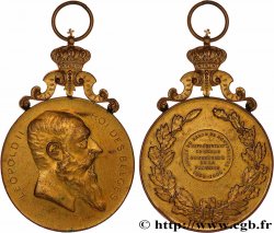 BELGIQUE - ROYAUME DE BELGIQUE - LÉOPOLD II Médaille, Jubilé du Baron de Montpellier