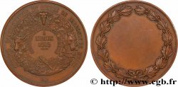 SOCIÉTÉS D AGRICULTURE, HORTICULTURE, PÊCHE ET CHASSE Médaille, Comice agricole