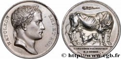 PREMIER EMPIRE Médaille, Conquête de l’Illyrie TTB+