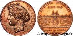 TROISIÈME RÉPUBLIQUE Médaille, Palais du Trocadéro, Exposition Universelle