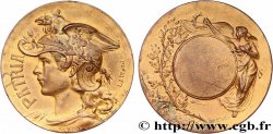 TROISIÈME RÉPUBLIQUE Médaille PATRIA, récompense