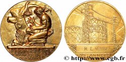 COMPANIES, INDUSTRIES AND MISCELLANEOUS TRADES Médaille de mérite EDF / GDF, 35 années de service