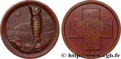EGYPT - KINGDOM OF EGYPT - FAROUK Médaille, La Croix Rouge Française, Aide aux prisonniers
