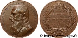 BELGIQUE - ROYAUME DE BELGIQUE - ALBERT Ier Médaille, Chambre de commerce, Annexion du Congo