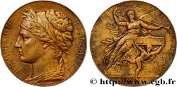 TERZA REPUBBLICA FRANCESE Médaille de récompense, Exposition Universelle Internationale
