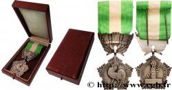 QUINTA REPUBLICA FRANCESA Médaille, Collectivités locales