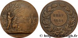 III REPUBLIC Médaille, Pêche à Bray