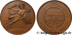 IV REPUBLIC Médaille, Chambre syndicale, Fédération nationale des syndicats de V. R. P.