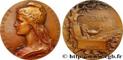 TERZA REPUBBLICA FRANCESE Médaille, Sénat
