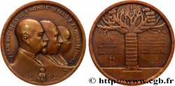 TERZA REPUBBLICA FRANCESE Médaille, Famille royale, Duc de Guise, Comte de Paris et Prince de France