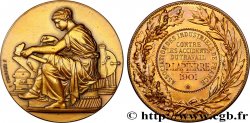 TROISIÈME RÉPUBLIQUE Médaille, Association des industriels de France contre les accidents
