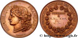 ASSURANCES Médaille, Société de protection mutuelle des voyageurs de commerce