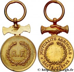 ASSURANCES Médaille, Mutualité agricole de Haute-Vienne