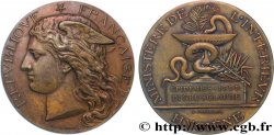 TERZA REPUBBLICA FRANCESE Médaille de récompense, Épidémies