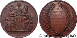 III REPUBLIC Médaille, Enseignement primaire