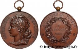INDOCHINE FRANÇAISE - PROTECTORAT DU TONKIN - TROISIÈME RÉPUBLIQUE Médaille, A l’armée du Tonkin