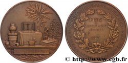 DRITTE FRANZOSISCHE REPUBLIK Médaille de récompense, Société de pharmacie