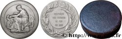TRANSPORTS (TRAINS, BUS, TRAMWAYS, BATEAUX...) Médaille, Compagnie des chemins de fer du midi TTB+