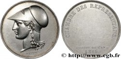 HERRSCHAFT DER HUNDERT TAGE Médaille, Chambre des représentants SS
