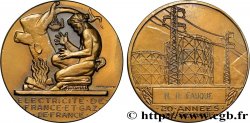 ENTREPRISES, INDUSTRIES ET COMMERCES DIVERS Médaille de mérite EDF / GDF, 20 années