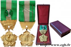 V REPUBLIC Médaille, Collectivités locales