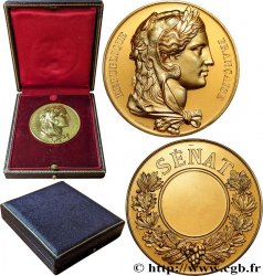 V REPUBLIC Médaille, Sénateur AU