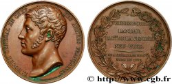 DIRECTOIRE Médaille, Louis Lazare Hoche